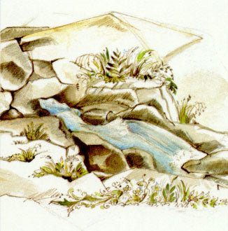 Nr. 27 Rock Water