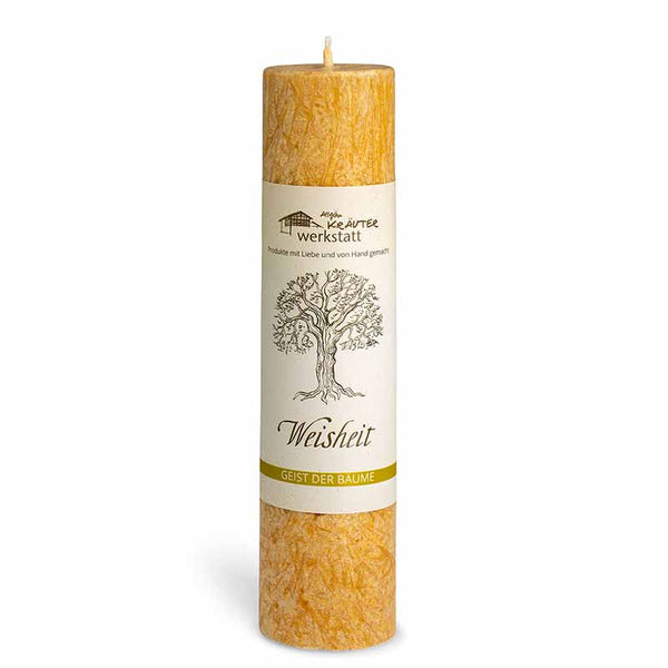 Weisheit (Buche) - Allgäuer Heilkräuterkerzen "Geist der Bäume"