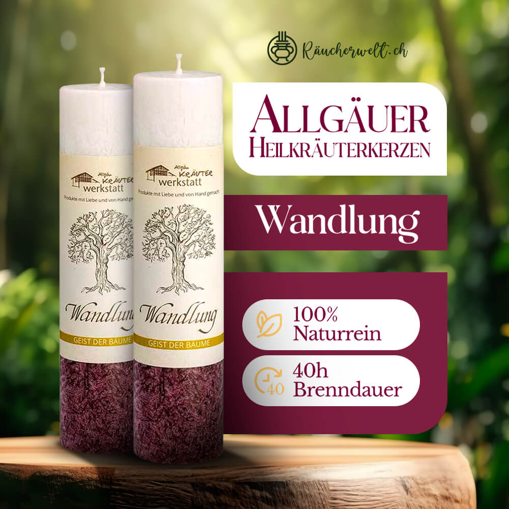 Wandlung (Holunder) - Allgäuer Heilkräuterkerzen "Geist der Bäume"