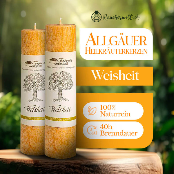 Weisheit (Buche) - Allgäuer Heilkräuterkerzen "Geist der Bäume"