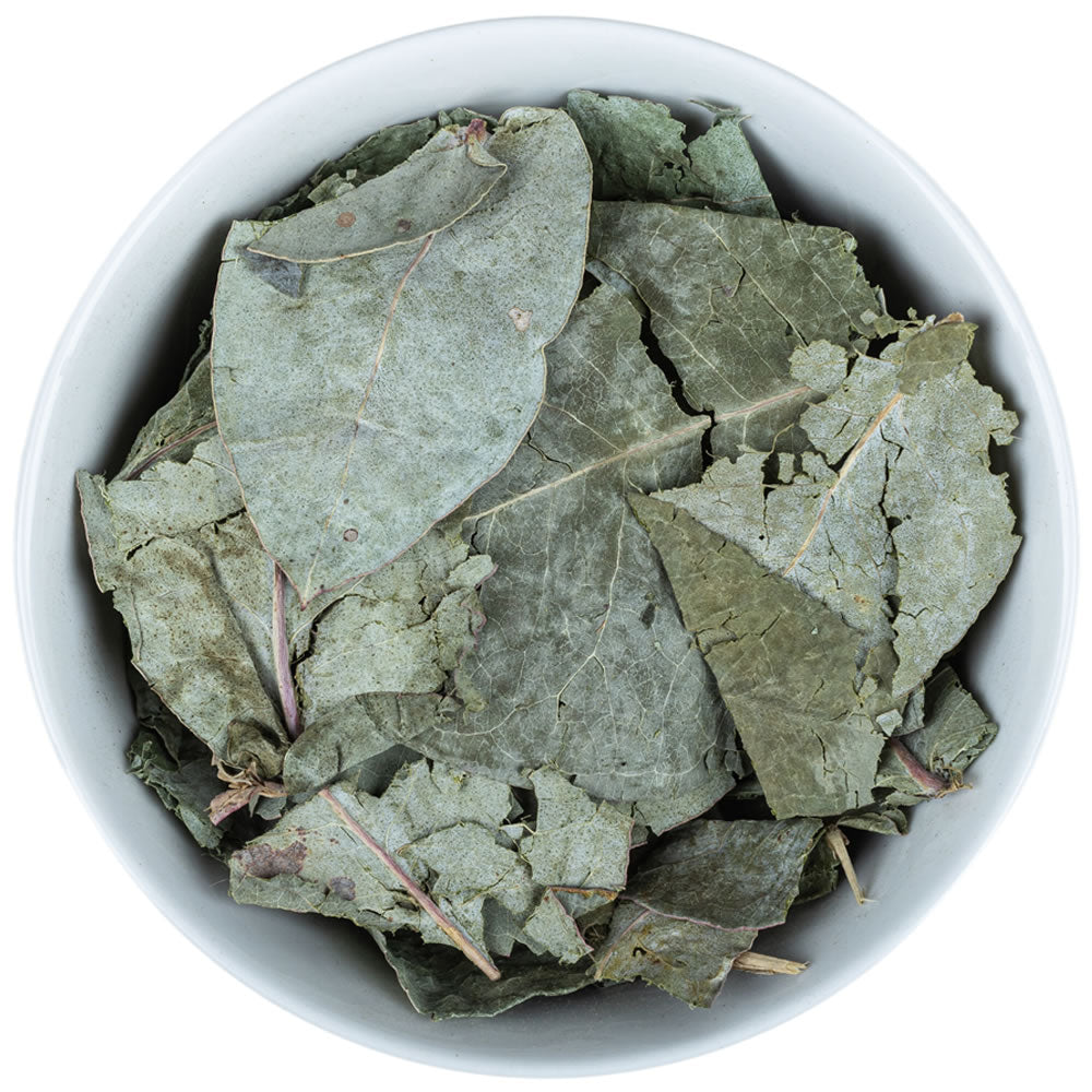 Eukalyptus (aus peruanische Anden)