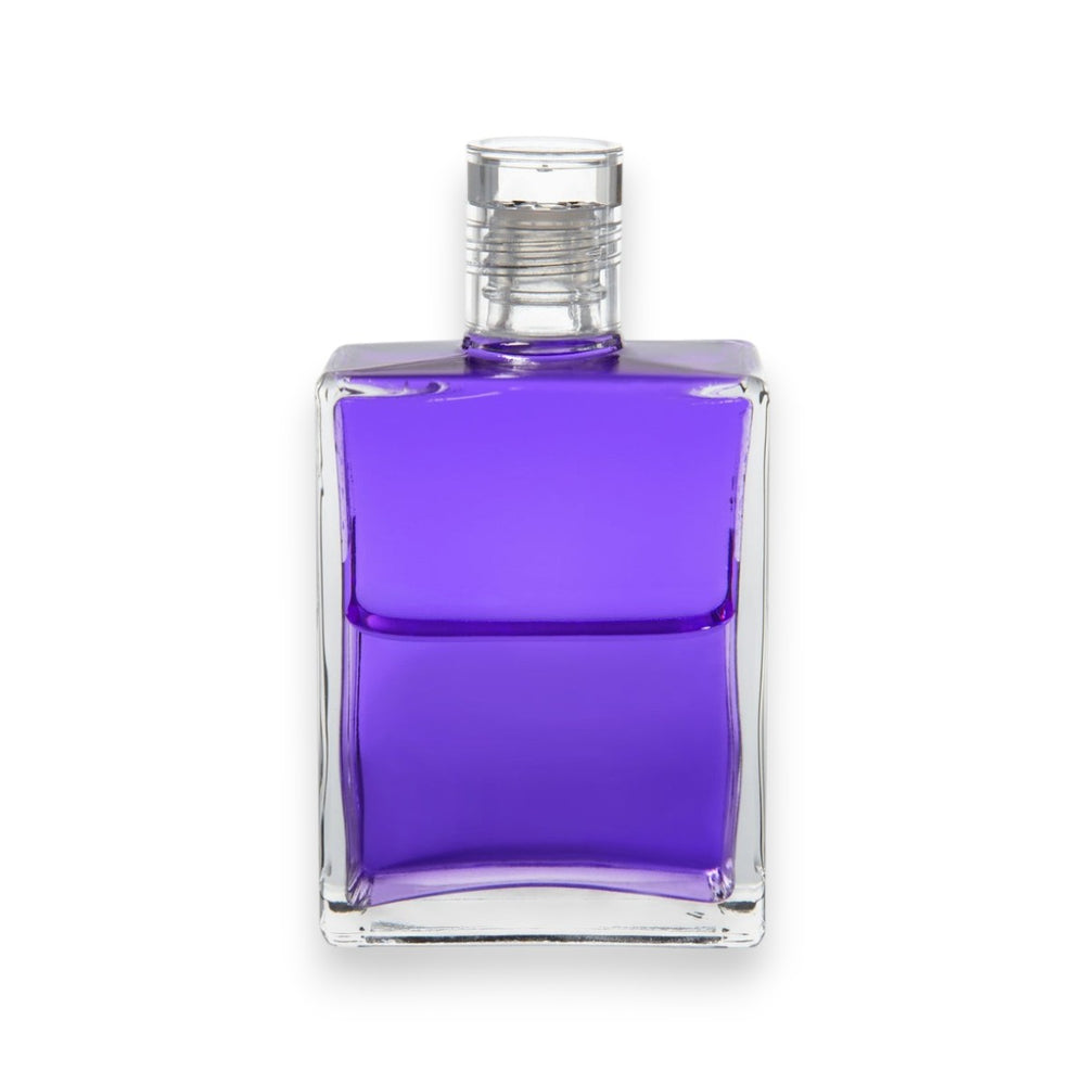 Equilibrium Nr. 16 - Das violette Gewand