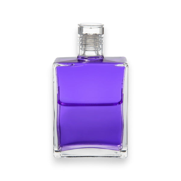 Equilibrium Nr. 16 - Das violette Gewand