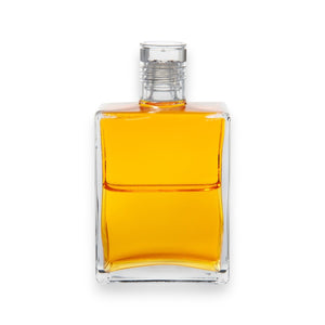 Equilibrium Nr. 41 - Weisheitsflasche