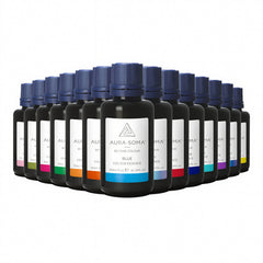Farbessenzen Komplettset (15 x 30 ml)