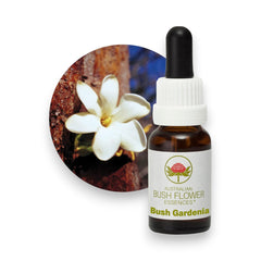 Bush Gardenia