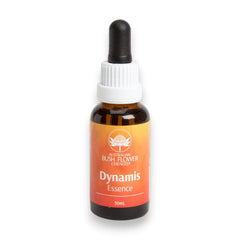 Dynamis Essence
