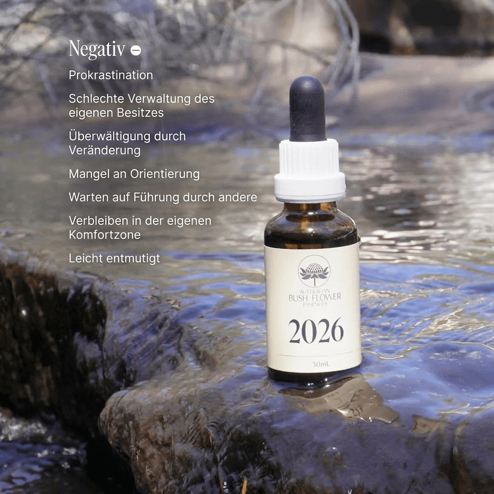 2026 Essence