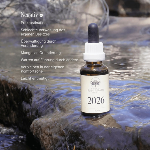 2026 Essence