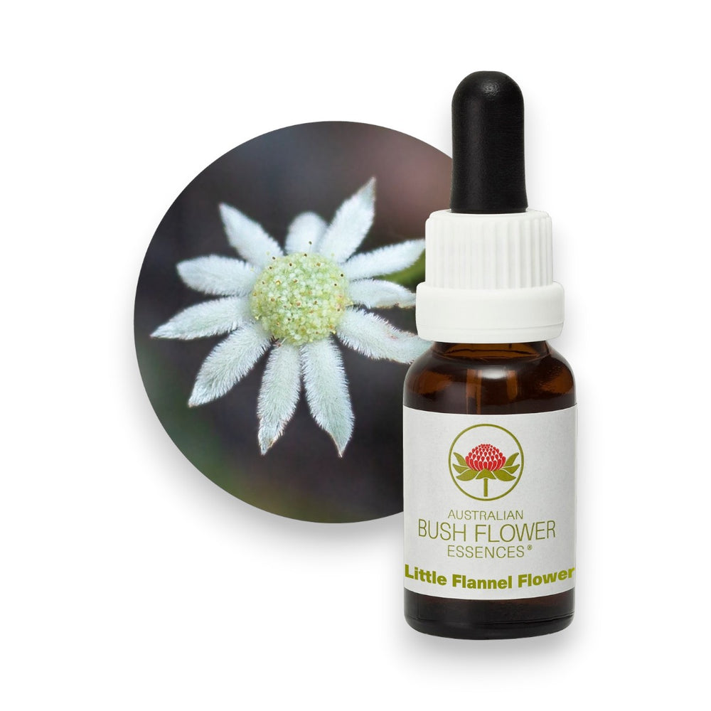 Little Flannel Flower