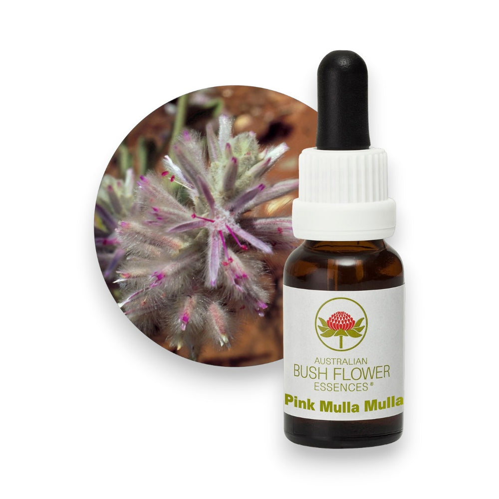 Pink Mulla Mulla