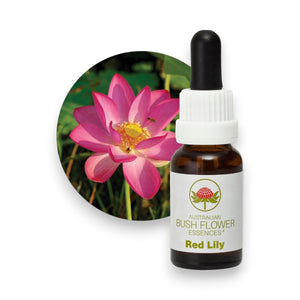 Red Lily