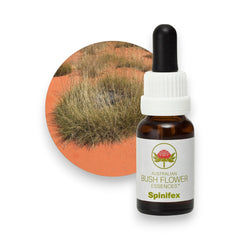 Spinifex