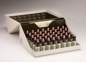Original Bachblüten Komplettset Kartonbox (40 x 10 ml)