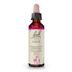 Nr. 19 Larch (Lärche)
