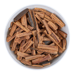 Ocote (Chiapas-Kiefer)
