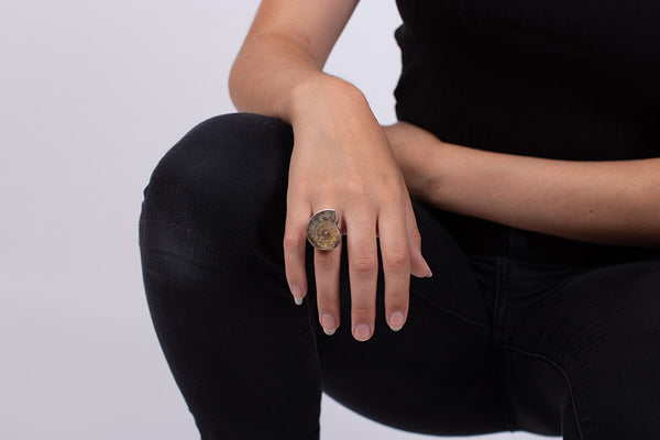 Ring Amonit