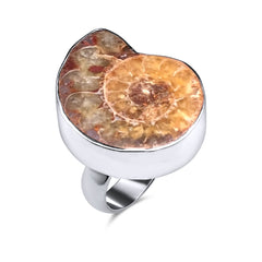 Ring Amonit