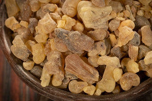 Weihrauch Somalia (Sanaag) - Boswellia occulta