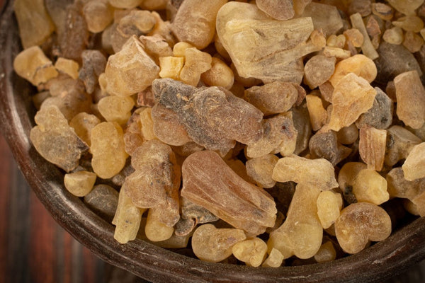 Weihrauch Somalia (Sanaag) - Boswellia occulta
